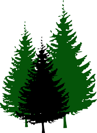 tree logo